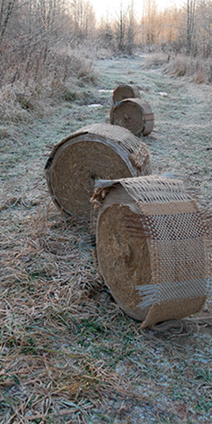 Tumbleweed by Julia Nesis